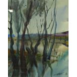 INGA KALLAGOVA-GOEHNER (20th Century Russian) WATERCOLOUR DRAWING 'Flooded River in April', 2016