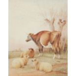 FREDERICK E. VALTER (circa 1860 - 1930) WATERCOLOUR DRAWING A cow and three sheep in a landscape