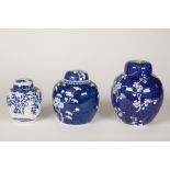 CHINESE BLUE AND WHITE PORCELAIN GINGER JAR AND COVE, of typical form, decorated with prunus on a