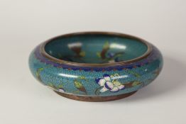 A LATE NINETEENTH/EARLY TWENTIETH CENTURY CHINESE CLOISONNE BOWL, with turned-over rim, the interior
