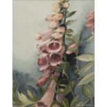 PETER SUNDERLAND (b.1931) WATERCOLOUR DRAWING Still life - Pink foxgloves Signed 10" x 8" (25.4cm