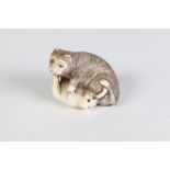 A JAPANESE WELL CARVED IVORY NETSUKE OF A CAT PLAYING WITH A KITTEN, with glass inset eyes and