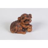 A JAPANESE FINELY CARVED BOXWOOD NETSUKE OF A SHI-SHI its right front paw resting a ball, with glass