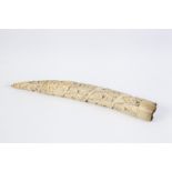INTERESTING LATE 19th CENTURY AFRICAN SMALL CARVED IVORY TUSK IN RELIEF with spirally ascending