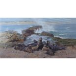 *DAVID SHEPHERD ARTIST SIGNED LIMITED EDITION COLOUR PRINT 'Elephant Seals' (1209/1500) signed in