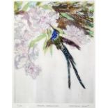 GERRY JOHNS ARTIST SIGNED LIMITED EDITION ETCHING IN COLOURS 'Sheartail Humming Bird' (31/50) 9 3/4"