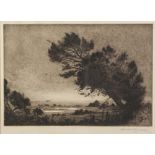 HERBERT GEORGE (Twentieth Century) ARTIST SIGNED ETCHING Rural landscape with tree in the foreground