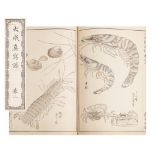 KONDO, RAISEI SHINSHA-FO 'COMPREHENSIVE ALBUM OF REALISTIC SKETCHES' 1888, vol 2 only. Woodblock