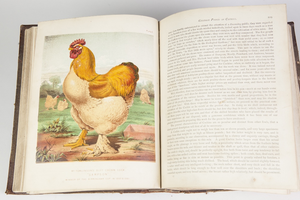 THE ILLUSTRATED BOOK OF POULTRY by Lewis Wright. Published by Cassell Retter and Galpin. Illustrated - Image 5 of 6