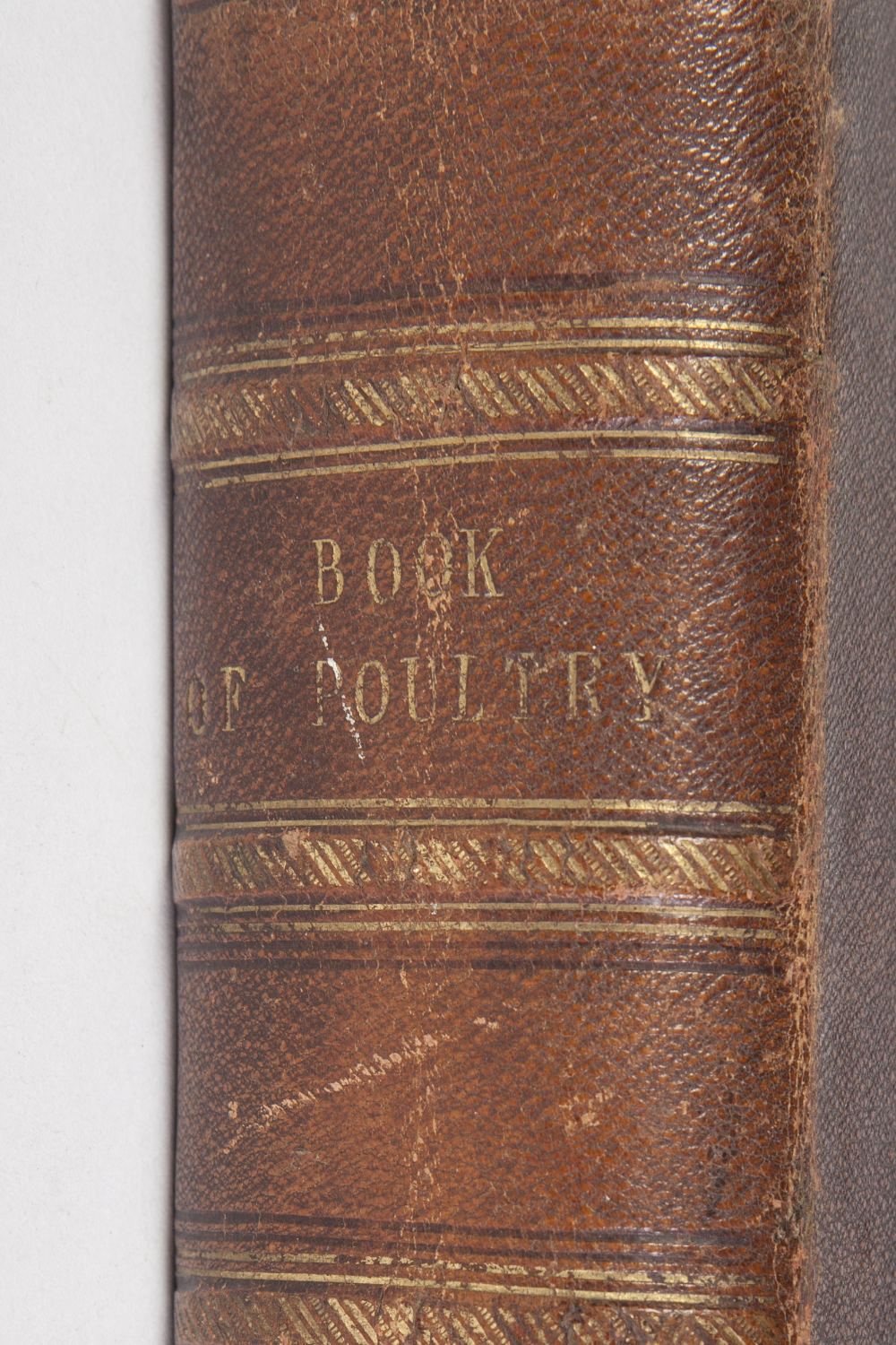 THE ILLUSTRATED BOOK OF POULTRY by Lewis Wright. Published by Cassell Retter and Galpin. Illustrated - Image 6 of 6