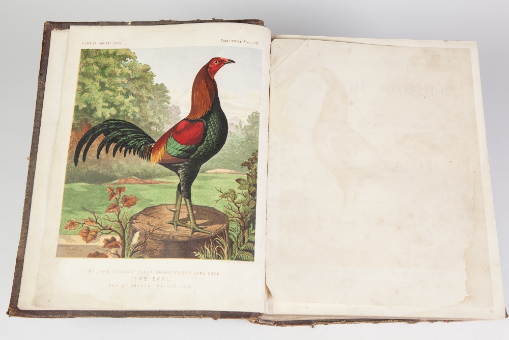 THE ILLUSTRATED BOOK OF POULTRY by Lewis Wright. Published by Cassell Retter and Galpin. Illustrated - Image 3 of 6