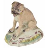 A Derby Pug Dog, 19th century seated on hind legs with down turned mouth, body with a black