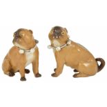 A pair of porcelain Pug Dogs, 19th century each in a seated position, with tan and brown coats, with
