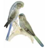 A Karl Ens porcelain figurine of Budgies each perched on a tree trunk, factory marks to base and