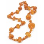 An impressive butterscotch amber bead necklace formed of graduated large polished disc shaped