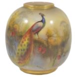 A Royal Worcester peacock vase, by Walter Harold Austin, dated 1901 of squat form the body painted