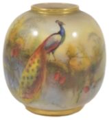 A Royal Worcester peacock vase, by Walter Harold Austin, dated 1901 of squat form the body painted