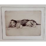 Cecil Charles Windsor Aldin (British 1870 - 1935) an etching of a sleeping terrier