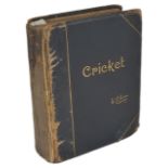 'Cricket' W.G. Grace, Bristol 1891 limited edition 490/652
