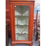 ANTIQUE SINGLE DOOR ASTRAGAL GLAZED CORNER DISPLAY CABINET