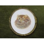 GRACE HARLING PICTURE OF A LONG HAIRED TABBY CAT IN AN OVAL FRAME