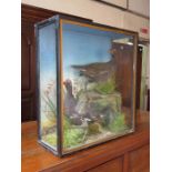 VICTORIAN DISPLAY CASE CONTAINING TWO TAXIDERMY BIRDS