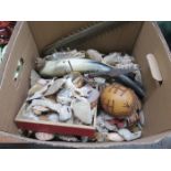 BOX CONTAINING VARIOUS SHELLS AND FOSSILS, ETC.