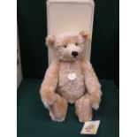 BOXED STEIFF 1920 CLASSIC BEAR