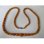 STRAND OF GRADUATED AMBER BEADS WITH SILVER COLOURED CLASP