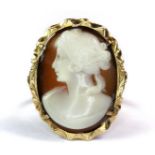 A 14ct yellow gold mounted (stamped 14k) cameo ring (L.5).