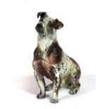 A cold painted Vienna style bronze dog, impressed mark for Bergmann, H. 11cm.