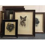 An quantity old framed photographs of dogs etc.