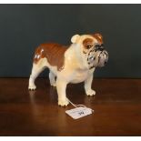 A large Beswick Bulldog Basford British Mascot 965, with gloss finish.