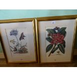 A collection of six botanical prints, each framed and glazed.