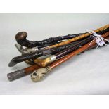 A collection of eight walking sticks,