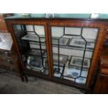 An early 20th century mahogany display cabinet, the twin astral glazed doors on plain supports,