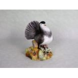 A Royal Crown Derby model of a Fantail Pigeon, signed C. Payne, 15cm tall.