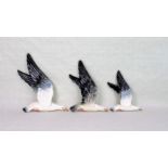 A set of three Beswick gulls, no. 922, numbered 1, 2 & 3, the largest 35cm wide.
