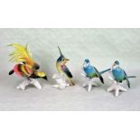 Four Karl Ens bird figurines, to include: a pair of Budgerigars,
