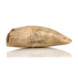 Ø A 19TH CENTURY SAILORWORK SCRIMSHAW DECORATED WHALE TOOTH