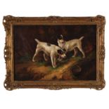 British sporting painting, 19th century TERRIERS HUNTING RABBIT oil on canvas, framed, signed