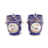 Fine pair French porcelain covered fruit coolers (2pcs)
