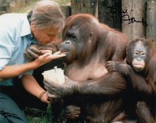 David Attenborough signed 10 x 8 colour wildlife photo. Good condition. All signed items come with