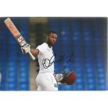 Shai Hope Signed West Indies Cricket 8x12 Photo. Good Condition. All signed items come with our