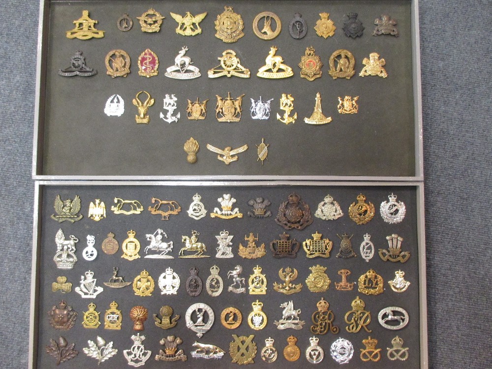 A collection of approximately one thousand military brass and other cap badges, mostly early 20th - Bild 2 aus 5