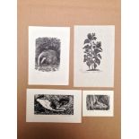 A mixed collection of loose and mounted prints, to include three small animal subject wood