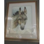 A watercolour of a donkey signed by D. Wright