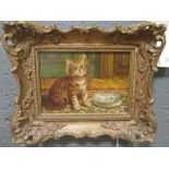 H T Holland, Kitten by a saucer, oil on panel, signed, 12cm x 17cm