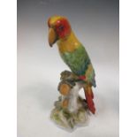 A late 19th century Dresden parakeet, 31cm high