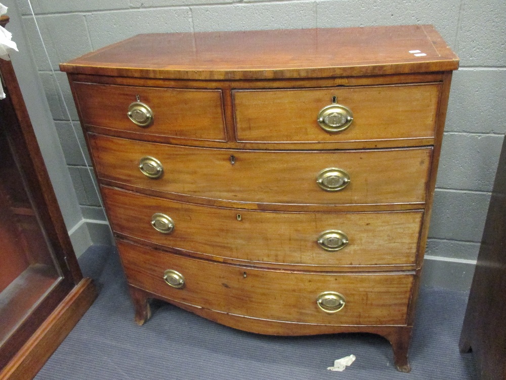 A Regency mahogany bow front chest of drawers with oval brass handles and stamped temple decoration,